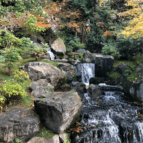 Start the day with a jog through Holland Park, a ten-minute walk away