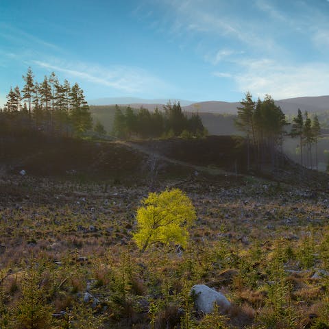 Explore nearby Cairngorms National Park