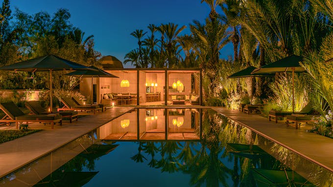 Palms & Paradise