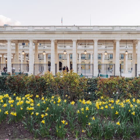 Visit nearby Palais-Royal after touring the Louvre