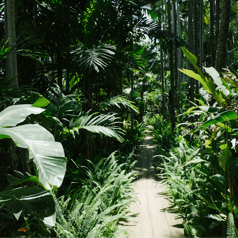 Spend an hour or two visiting the nearby Giardino dell’Orticoltura