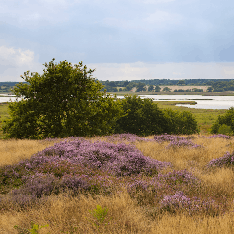 Visit the stunning Suffolk heathlands, reached in twenty minutes by car