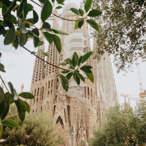 Take the Metro to the Sagrada Família in fifteen minutes