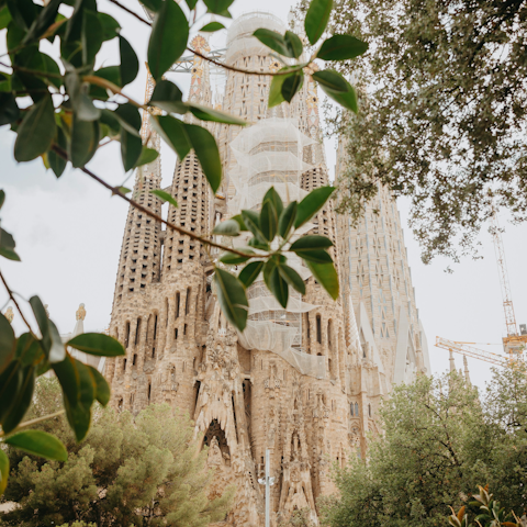 Take the Metro to the Sagrada Família in fifteen minutes