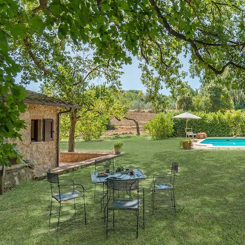 Enjoy your morning coffee beneath the shady oak trees