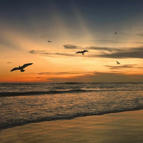 Watch the sunset at Pererenan Beach, only 500 metres away