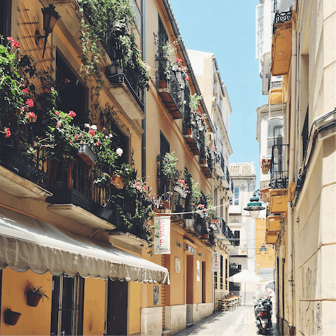 Explore the charming streets of the Centro Histórico, your apartment is right in its centre