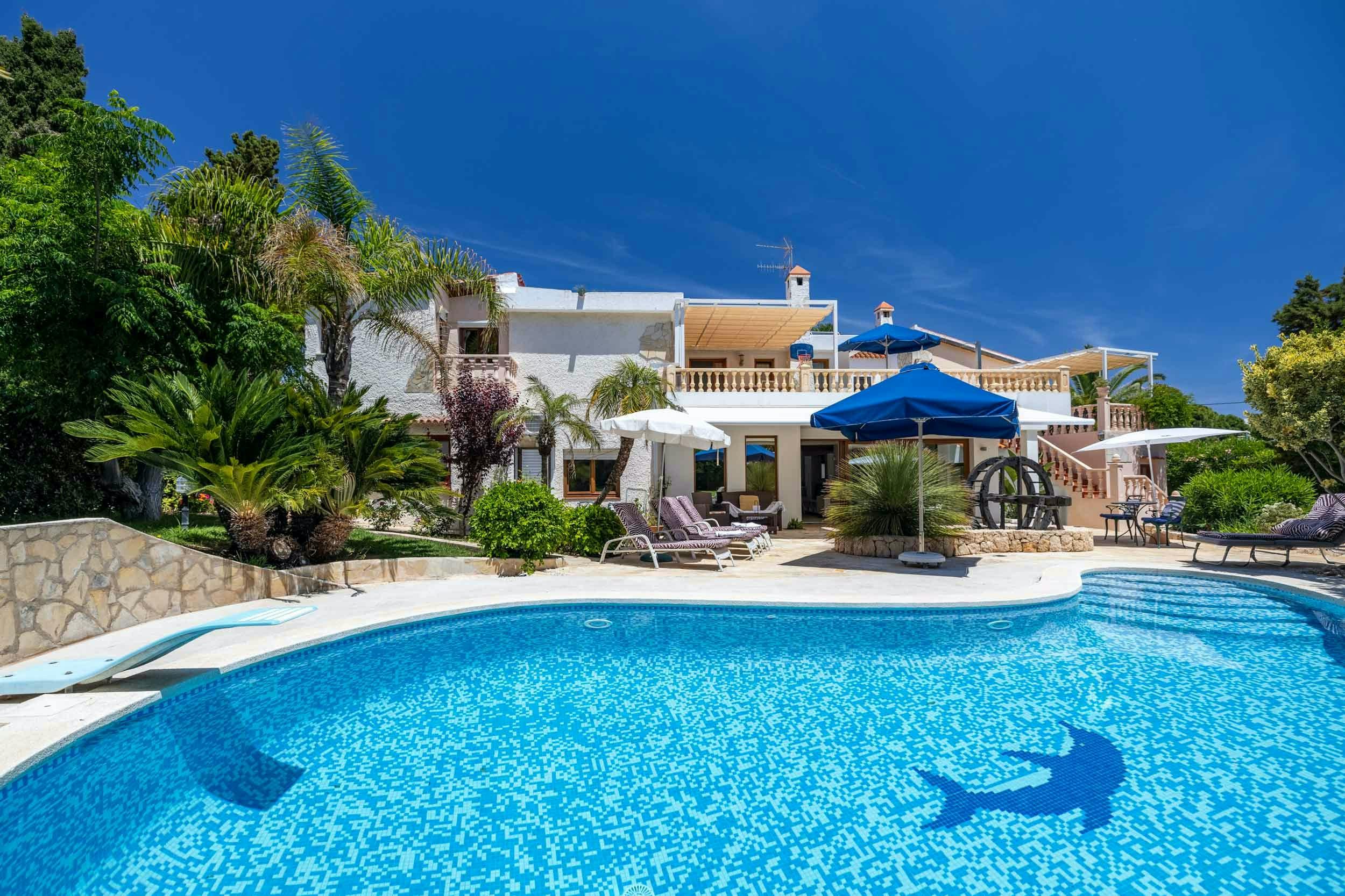 The Aquamarine Dolphin