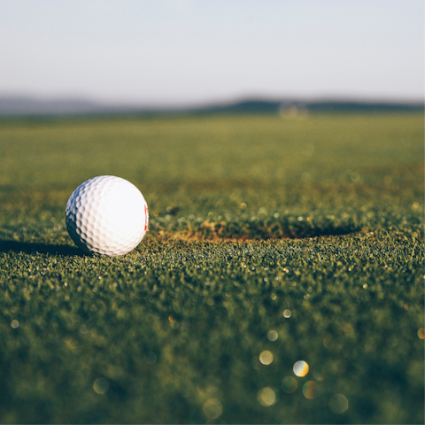 Play a round at the nearby Oasis golf course