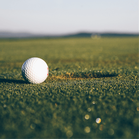 Play a round at the nearby Oasis golf course