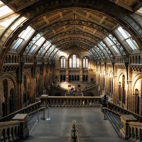 Take the Tube to South Kensington to discover the Natural History Museum