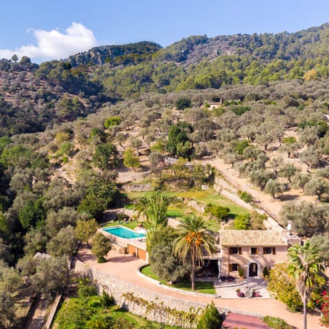 Take a stroll through the woodlands stretching out from your home's vast grounds