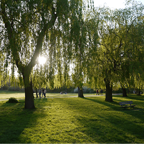 Pack a picnic and head to Hampstead Heath, fifteen minutes away