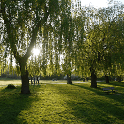 Pack a picnic and head to Hampstead Heath, fifteen minutes away