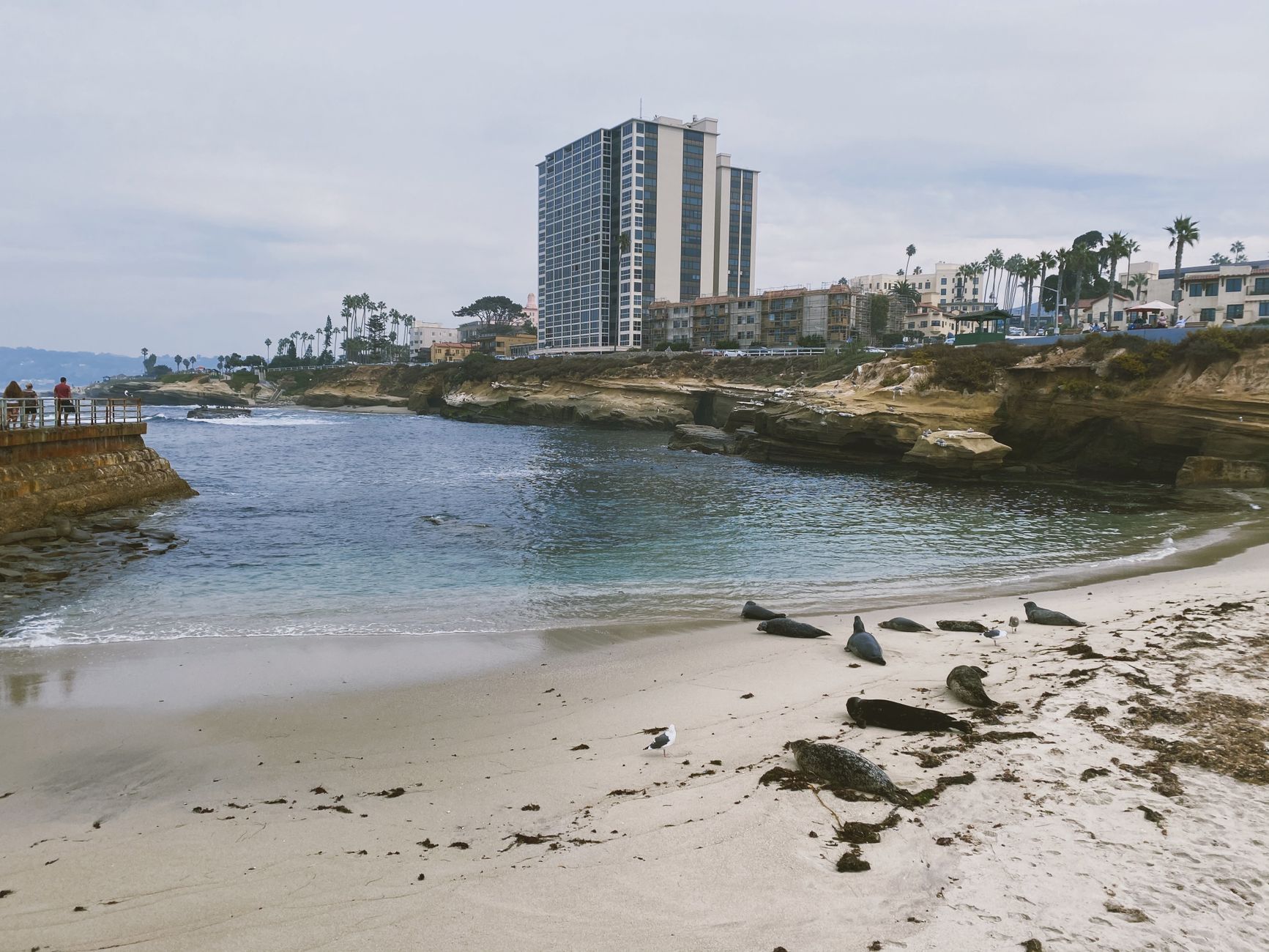 Cove & Calm
