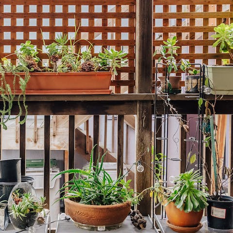 Enjoy the quirky little patio