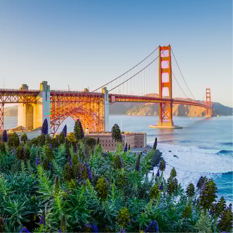 Head across the bay to San Francisco