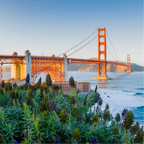 Head across the bay to San Francisco