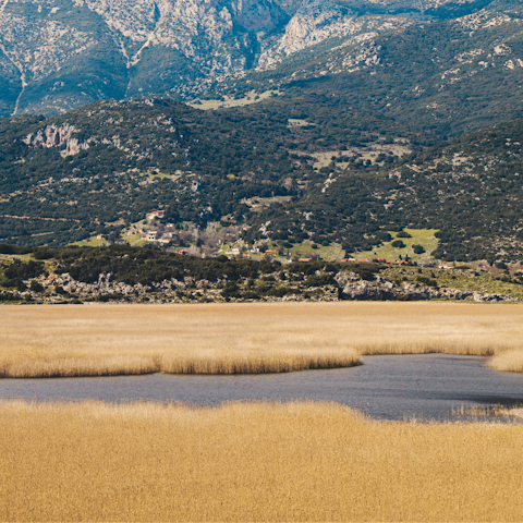 Drive forty minutes to Lake Stymphalia for a day in nature