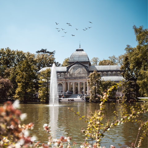 Enjoy a leisurely stroll around El Retiro Park on a sunny afternoon