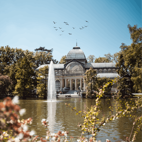 Enjoy a leisurely stroll around El Retiro Park on a sunny afternoon