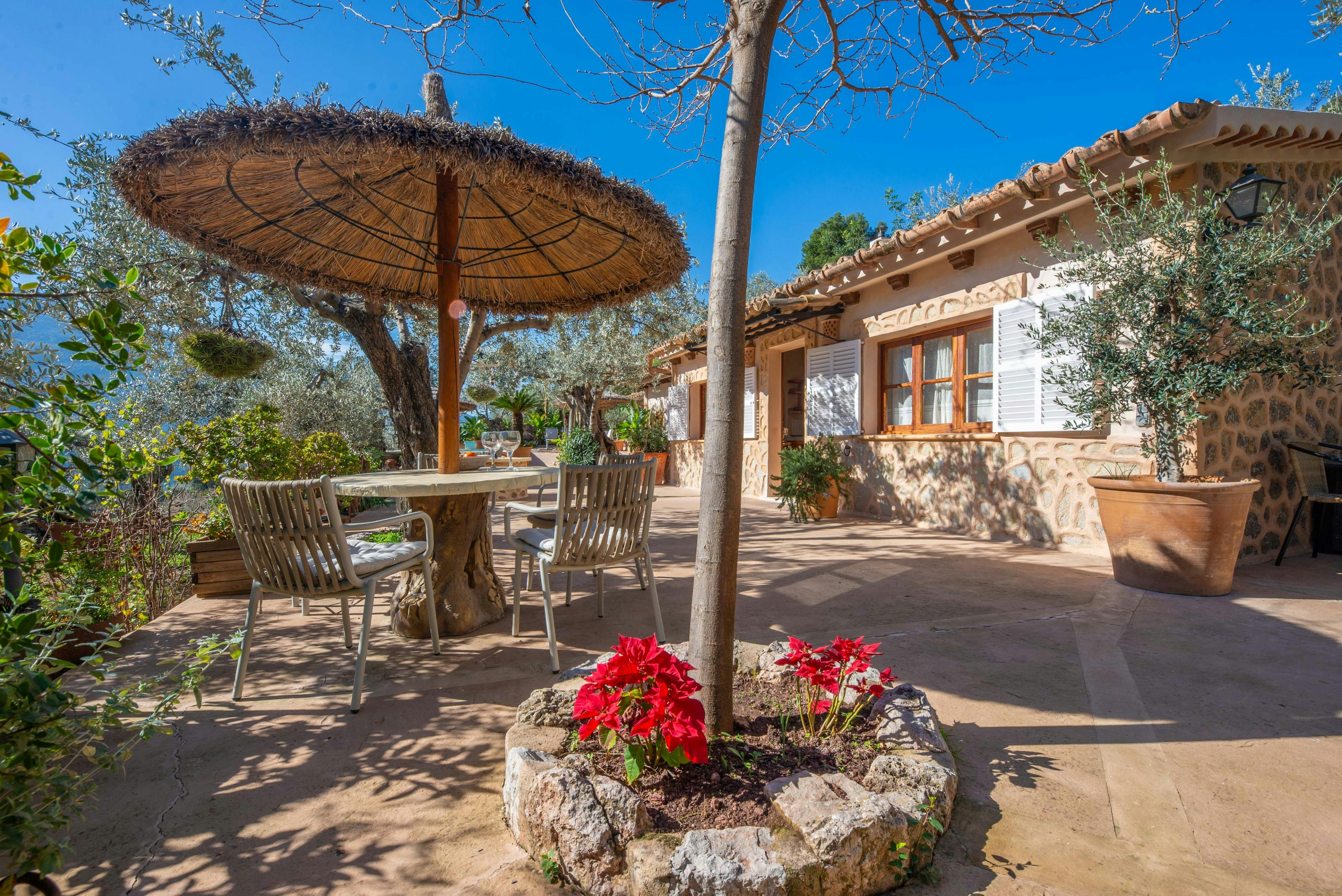 Sunshine On The Mountains