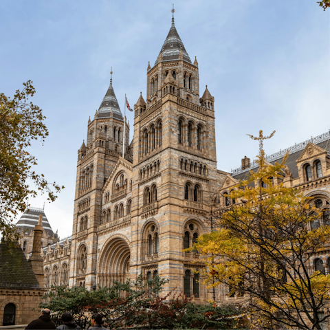 Visit the Natural History Museum, fifteen minutes on foot