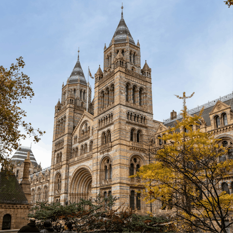 Visit the Natural History Museum, fifteen minutes on foot
