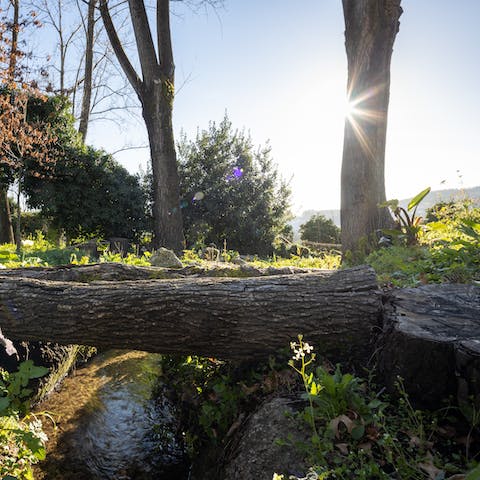 Wander around the home's leafy gardens