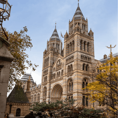 Take a stroll through well-groomed South Kensington – it's right on your doorstep