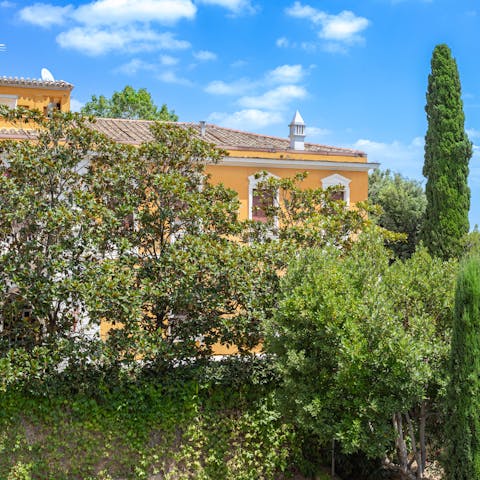Enjoy leafy views from your peaceful apartment