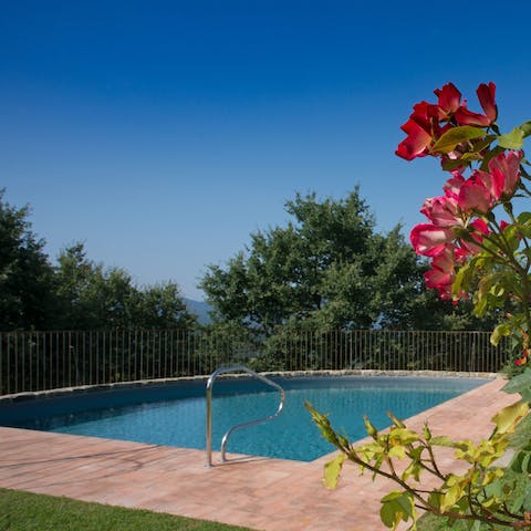 Swim in the private pool in the pretty gardens