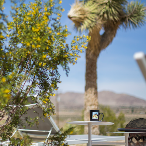 Sip coffee while surrounded by nature