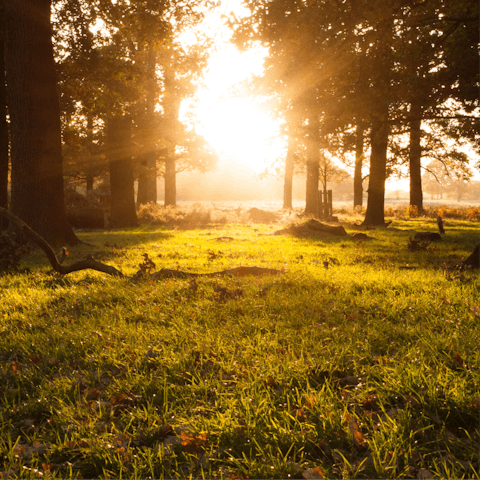 Go for long walks in the beautiful Surrey countryside and stop at a country pub for refreshments