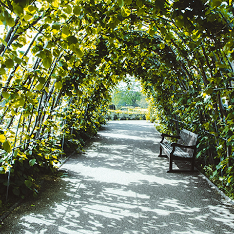 Enjoy a fresh air filled stroll through beautiful Queen's Park