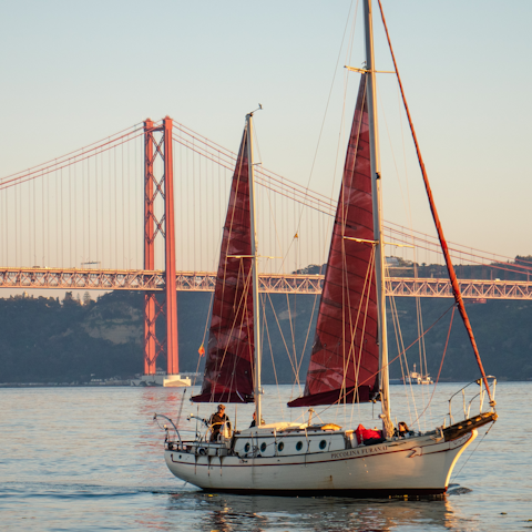 Experience the magic of Lisbon while strolling alongside the Tagus