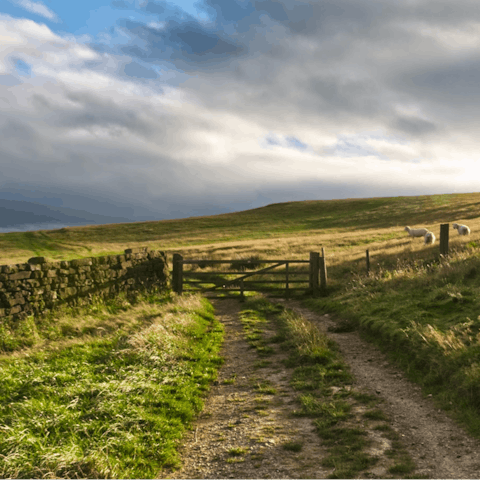 Feel the freedom of expansive skies and open fields as you walk along the Cleveland Way