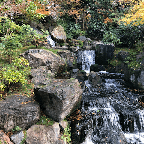 Walk around the corner to beautiful Holland Park