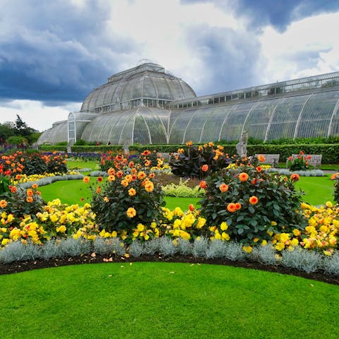 Visit Kew Gardens, a UNESCO World Heritage Site