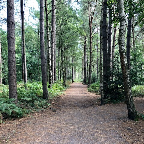 Get lost in nature, with the South Downs National Park on your doorstep