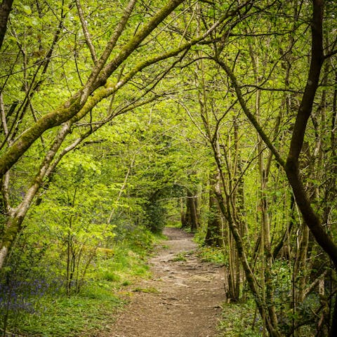 Stay in the pretty village of Thornton Dale, on the edge of the North Riding Forest Park