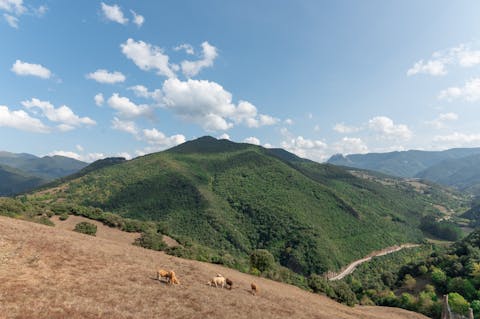 Stay in the mountainous Cabezón de Liébana, packed with natural beauty