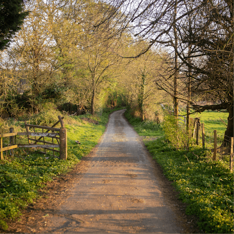 Explore the West Sussex countryside, with pubs and vineyards nearby