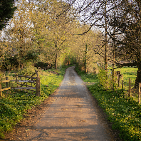 Explore the West Sussex countryside, with pubs and vineyards nearby