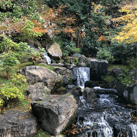 Take a picnic over to Holland Park, a fifteen-minute bus ride away