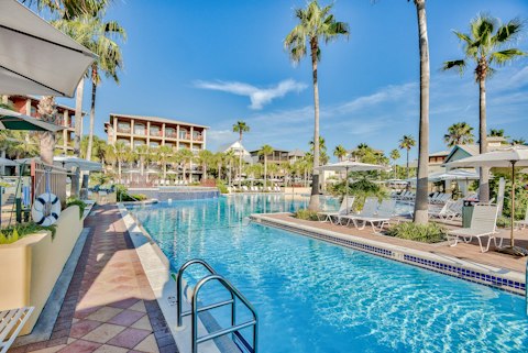 Swim laps beneath the palm trees in the shared pool
