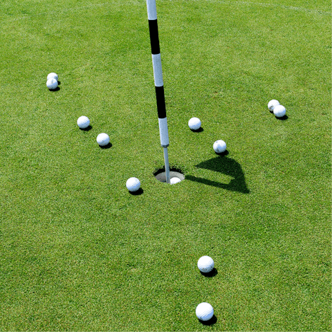 Gain access to the Four Seasons Resort and its golf courses