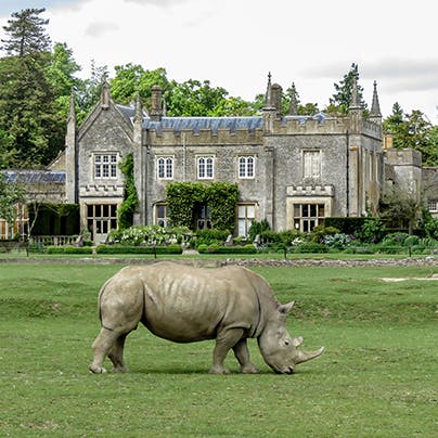 Visit Cotswold Wildlife Park and Gardens, 4 miles away