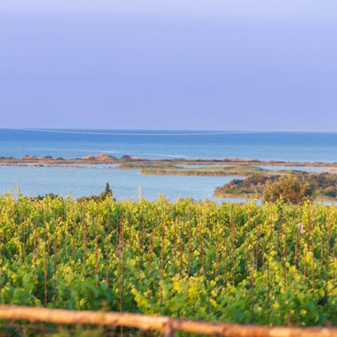 Take in sea views from the balcony terrace