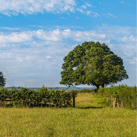 Enjoy the fresh air and country walks of rural Hampshire